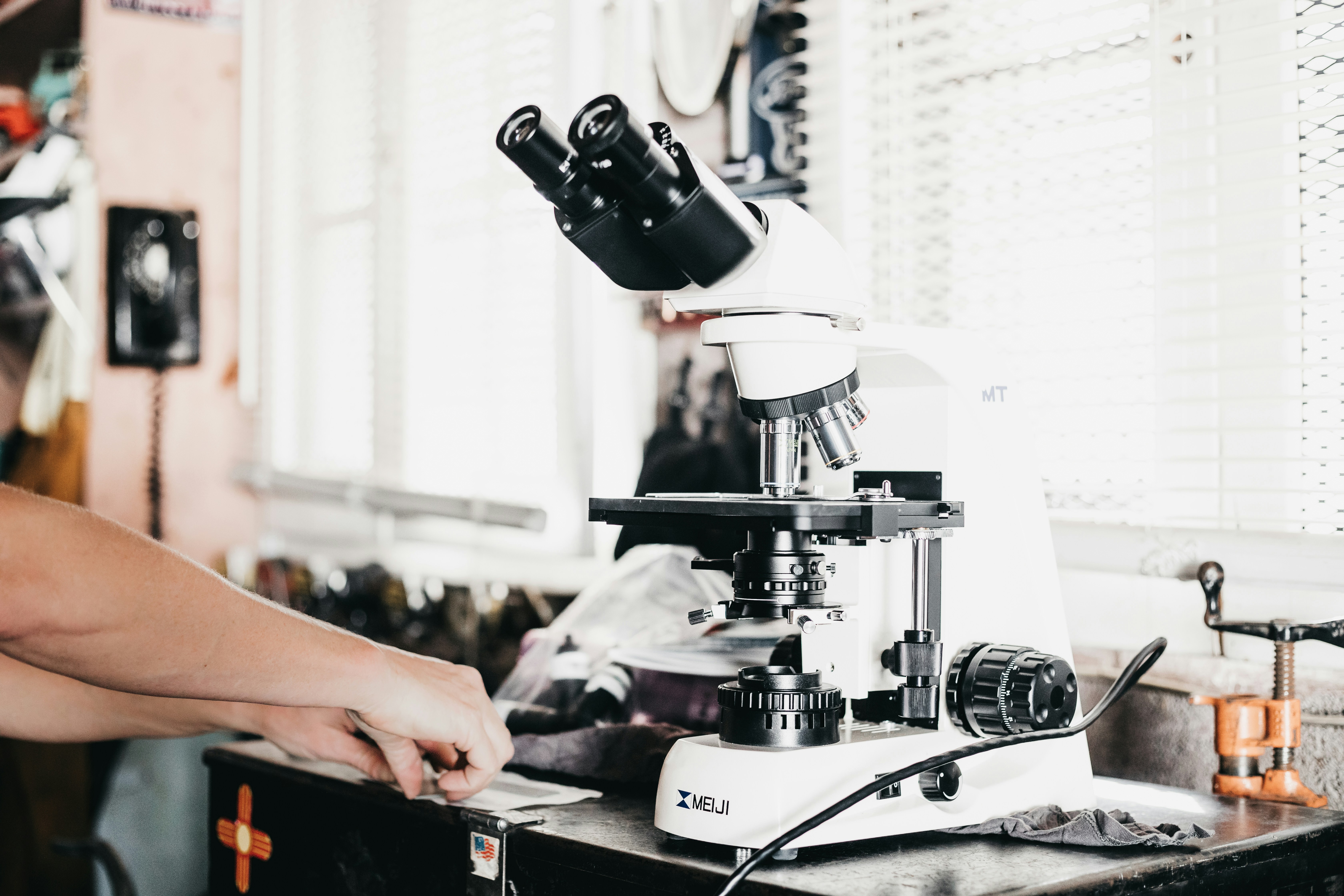 Applied Therapeutics $15 Million Securities Settlement