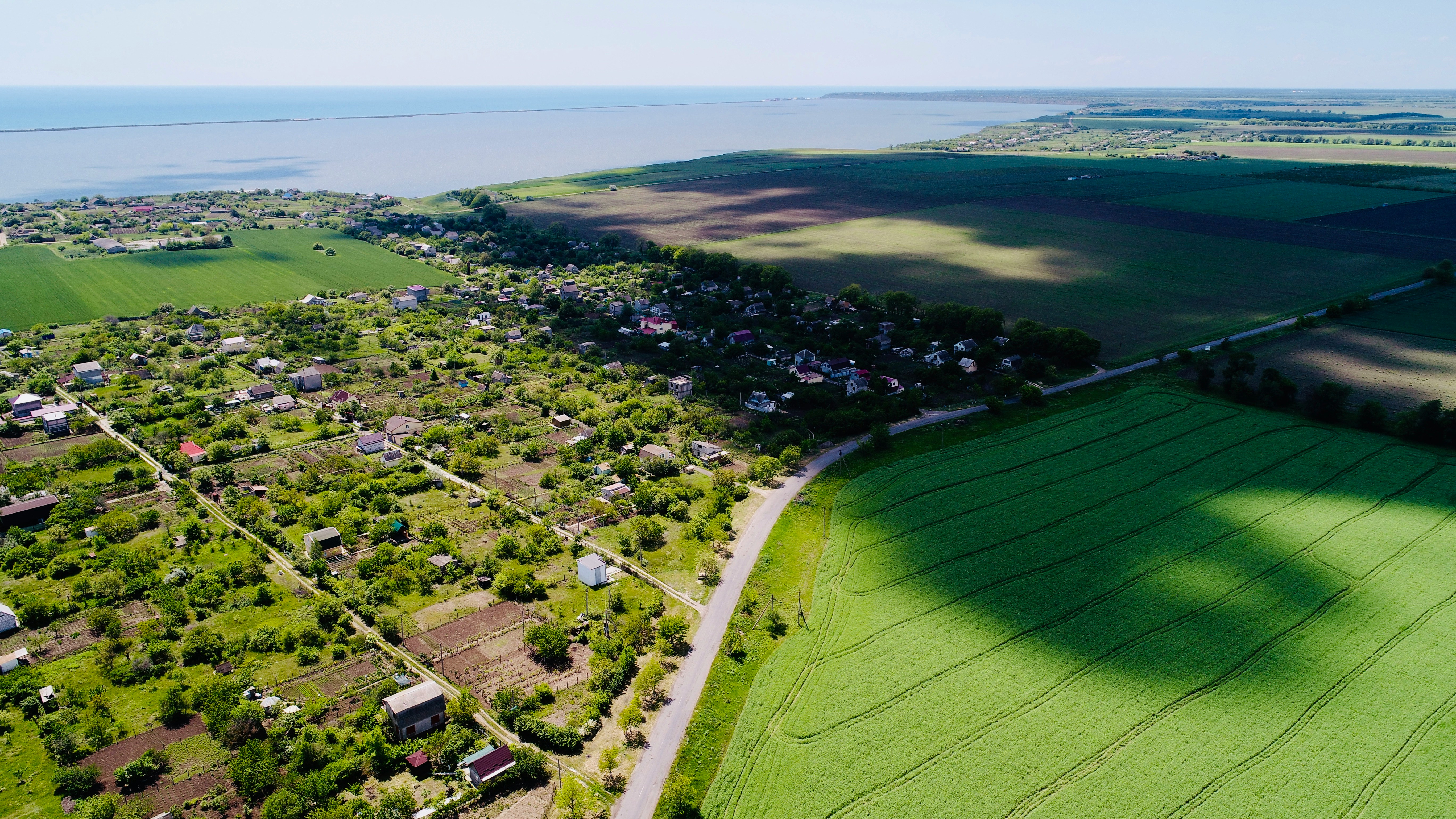 Dillon County Data Breach: SSNs Exposed