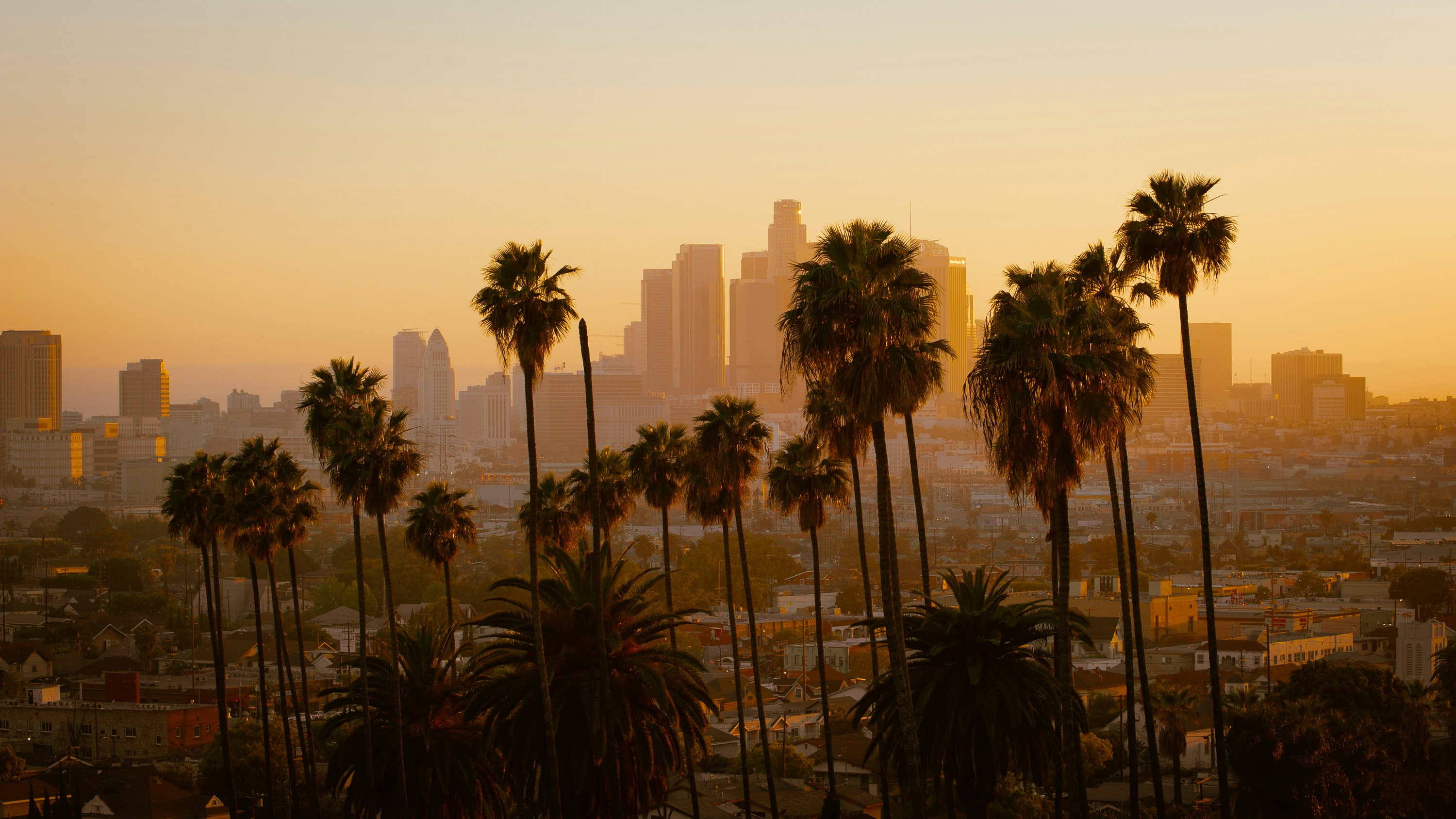 Los Angeles County DPSS Data Breach: SSNs Exposed